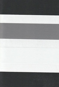 Рулонные шторы день-ночь для проема Салерно, серый 2002 купить в Мытищах с доставкой